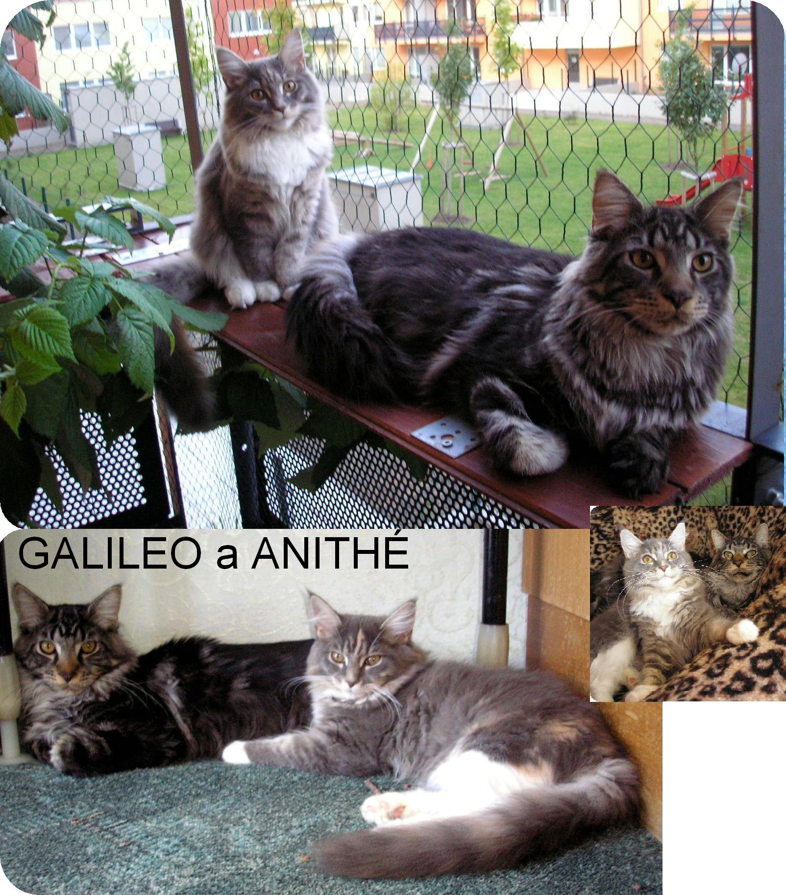 10-GALILEO a ANITHÉ.JPG
