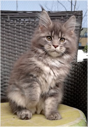 kala-3-months-1.jpg