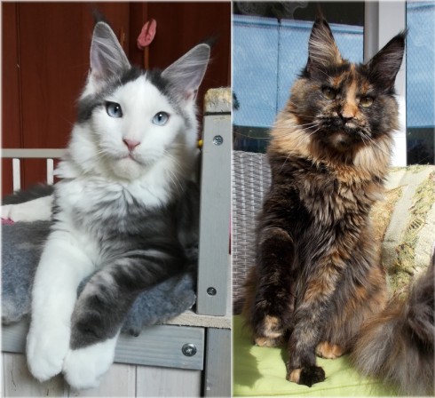 pampi-a-erinna-parents--2-.jpg