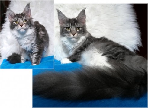 figarka-5-months-komplet-3.jpg