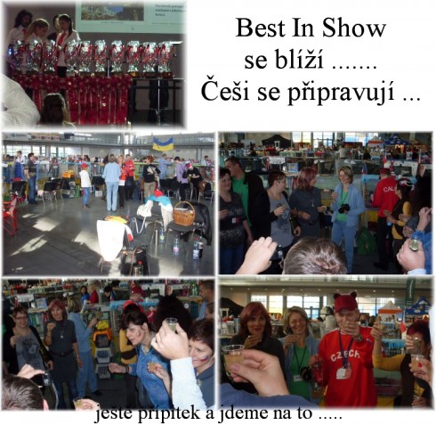 n-ne-bis.jpg